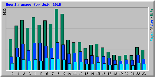Hourly usage for July 2016
