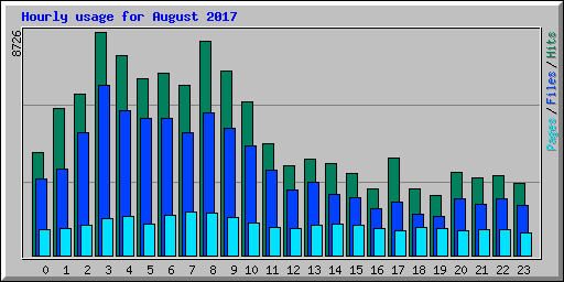 Hourly usage for August 2017